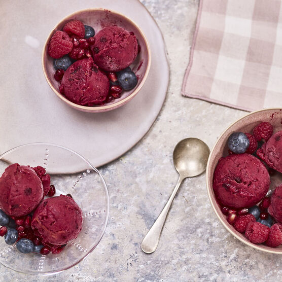 Sorbeti&egrave;re Duo 2x1L